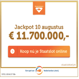 staatslot kopen